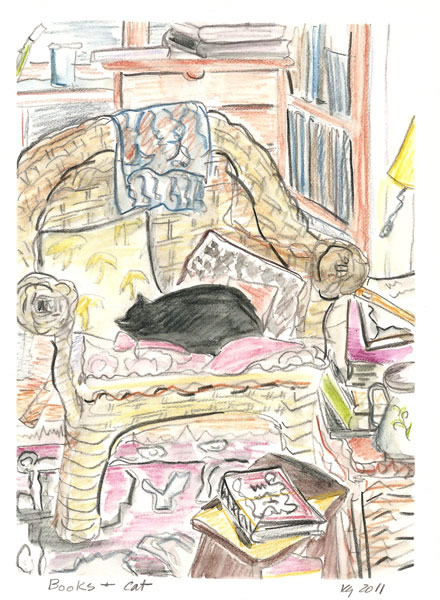 Books and Cat